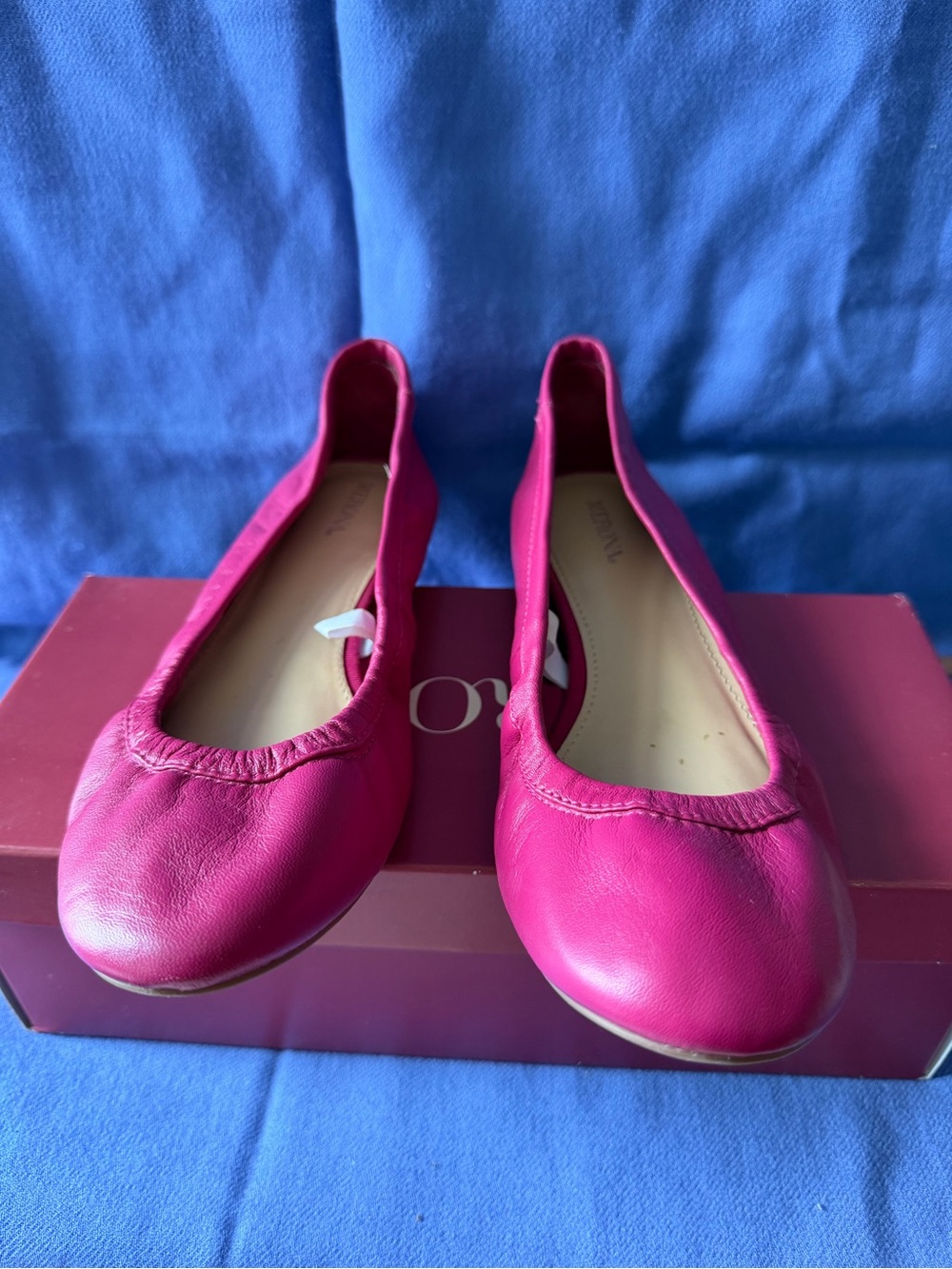 Merona Magenta Leather Ballet Flats